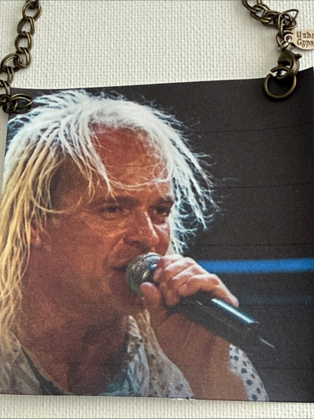 David Lee Roth Concert Photo Ornament